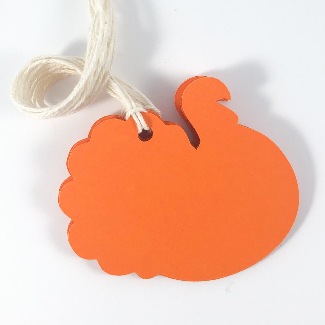 Blank Turkey Tags Thanksgiving Tags Turkey Favor Tags Etsy