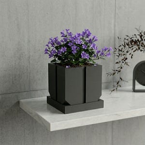 May include: A dark gray square planter with vertical panel detailing and a matching base, containing a vibrant cluster of small purple bell-shaped flowers with green foliage, positioned on a white shelf against a light gray concrete wall.