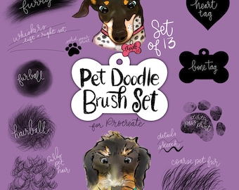 Pet Doodle Procreate Brushes - whiskers - hair ball - fur brush - paw prints - pet tags