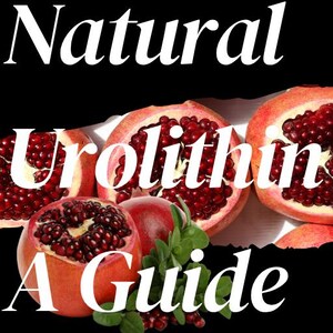 May include: Image of a black background with the words "Natural Urolithin A Guide" in white. The image features several cut pomegranates with bright red seeds and green leaves. The text "Support Longevity Naturally" is at the bottom.