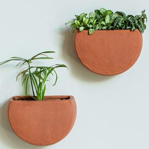 May include: Two terracotta-colored, half-circle wall planters, each filled with greenery. The planters have a textured surface and are mounted on a white wall. One planter holds a plant with long, thin leaves, while the other contains a variety of smaller, leafy plants.
