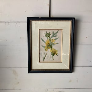 Botanical Print