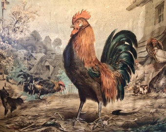 Vintage Rooster Print