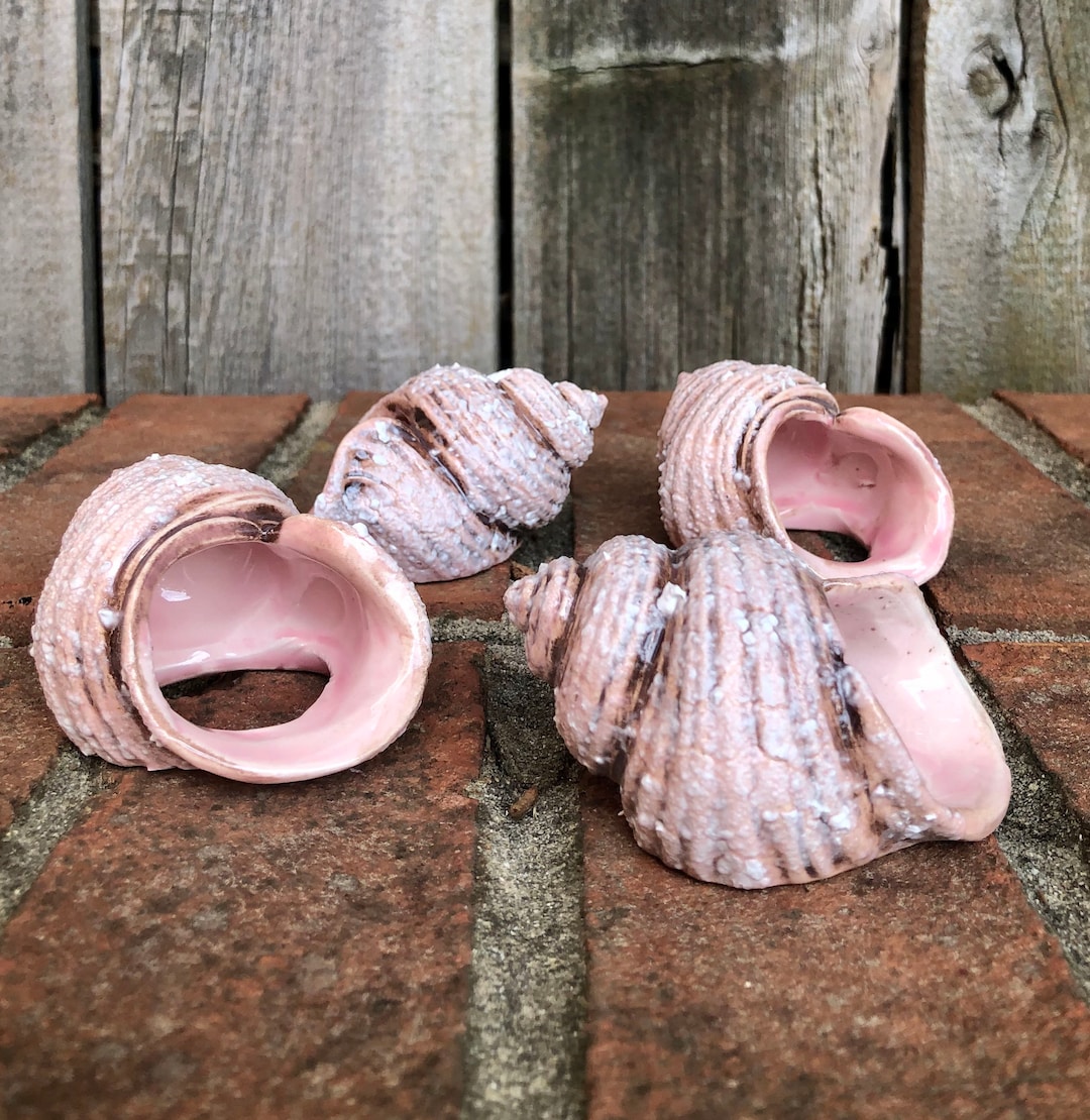 Shell Napkin Holders Set of Four Etsy