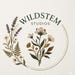 WildstemStudioNS