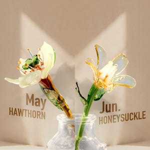 May include: Two glass flowers in a clear glass vase. The left flower is white and green with the text May HAWTHORN. The right flower is yellow and green with the text Jun. HONEYSUCKLE. The flowers have delicate petals, green stems, and leaves.