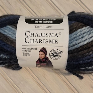 May include: A skein of Charisma yarn featuring a variegated color palette of dark navy, charcoal gray, and light blue. The white paper label displays the brand name, Oeko-Tex certification, and an illustration of a person wearing a knitted cowl.