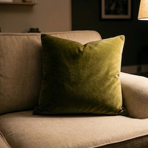 May include: A beige sofa with a large, olive-green velvet cushion. A gold floor lamp with a beige lampshade stands to the right. The room has a neutral colour palette.