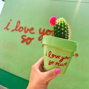 Succulent Pot &quot;I Love You So Much&quot; - Austin Mural/Austin Souvenir/Flower Pot/Plant Lover/Unique Pot
