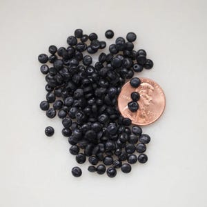 May include: A collection of small, black, round beads scattered on a white surface, next to a copper penny. The beads appear to be made of a hard material. The penny is a United States one-cent coin.