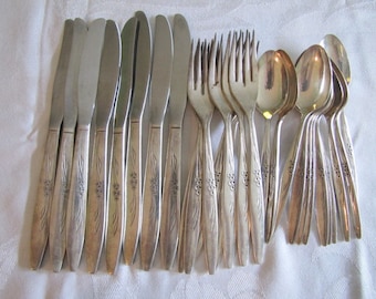 Vintage Gentle Rose by Oneida Community Silver Plate Flatware Set