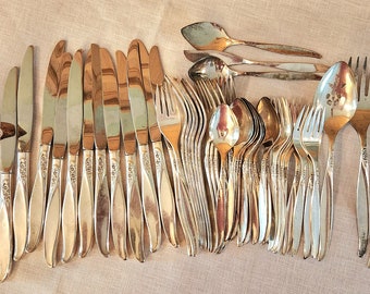 WINSOME 1959 Oneida Community Silverplate Silverware Set, 51 Pieces Silver Plate Flatware Silverplate Silverware