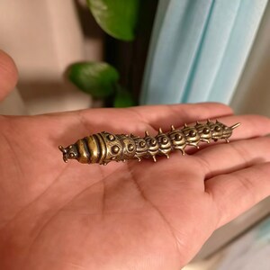 May include: A detailed brass caterpillar figurine with a segmented body and spiky protrusions. The antique-style insect sculpture is a decorative item, featuring intricate patterns and a polished finish. The caterpillar is approximately 7.6 cm long.