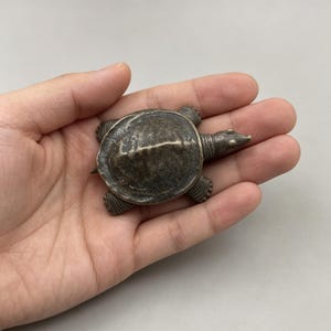 May include: A small, antique-style metal turtle figurine. The turtle is a dark, tarnished silver colour, with detailed features including a textured shell, head, and legs. The figurine is held in an open hand against a neutral background.
