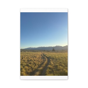 May include: A landscape print featuring a winding dirt path through a field of golden grass, leading towards a mountain range under a clear blue sky. The scene is bathed in warm sunlight, creating a serene and natural aesthetic.