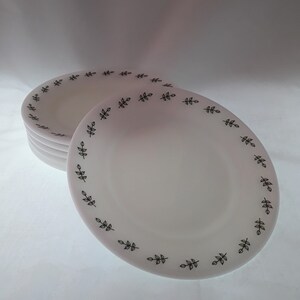 May include: A stack of four white ceramic dinner plates with a black leaf pattern around the rim.