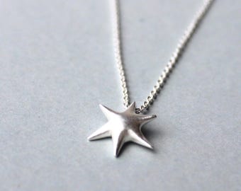 Radiolaria pendant 925 silver including chain