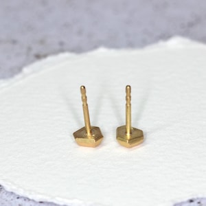 Op de afbeelding: Twee goudkleurige oorstekers met een zeshoekige vorm. De pinnen zijn zichtbaar en de oorbellen staan tegen een witte achtergrond. De oorbellen zijn klein en delicaat, geschikt voor dagelijks gebruik.