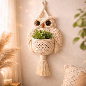 Puede incluir: Un macetero colgante con forma de búho de macramé color crema, con una cesta tejida para plantas. El búho tiene ojos grandes y oscuros y un pico de madera. Las alas y una borla en la parte inferior añaden textura. El macetero está lleno de plantas verdes.