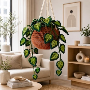 May include: A crocheted hanging plant featuring a round, textured terracotta-colored pot suspended by white cords. The plant has numerous heart-shaped leaves in variegated shades of dark green and lime green, cascading downwards from the central pot.