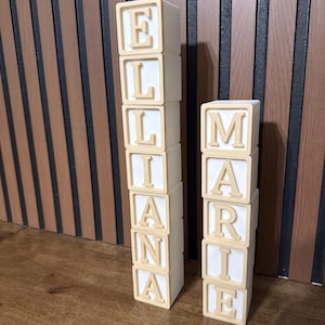 Puede incluir: Dos pilas verticales de bloques cuadrados blancos con letras en relieve de color beige claro. La pila más alta deletrea ELLIANA y la más corta deletrea MARIE. Cada bloque presenta una sola letra centrada en su cara frontal, creando una exhibición clara.