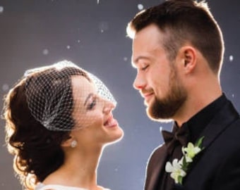 Birdcage Veil, Bandeau Birdcage Veil, Wedding Veil, Bridal Veils, H1002