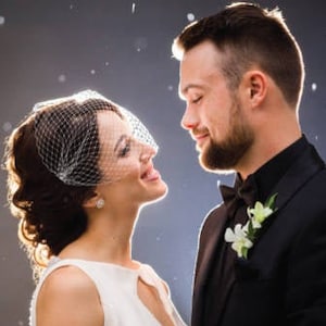 Birdcage Veil, Bandeau Birdcage Veil, Wedding Veil, Bridal Veils, H1002