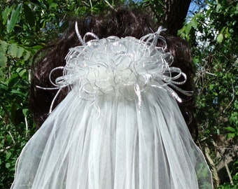 Wedding Veil, Double Layer Veil, Pencil Edge Veil, Silver Edged Embellished Comb, H3054