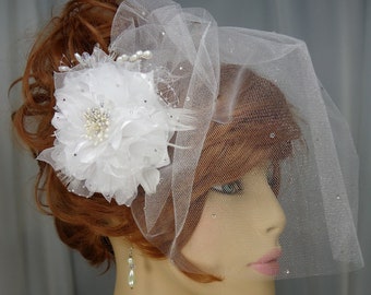 Bridal Birdcage Veil Set, Bridal Veil, Wedding Hair Clip, Wedding Set, Veil Fascinator Set, B14116