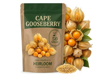 50 Ground Cherry Seeds, Cape Gooseberry Fruit Plant for Garden