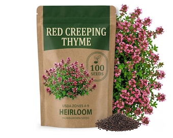 100 Seeds Red Creeping Thyme Seeds for Ground Cover Garden, Low Growing Herb