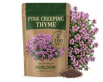 100-400 Pink Creeping Thyme Seeds, Ground Cover Herb for Garden Pathways