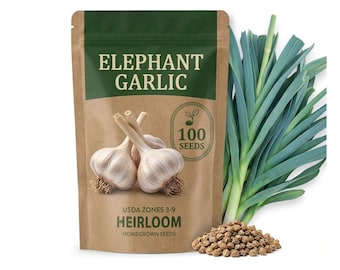 100 Elephant Garlic Seeds, Large Bulb Herb for Garden Growing