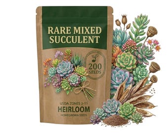 200 Succulent Seeds Mix for Planting, Easy Care for Small Space Garden, Gift Idea