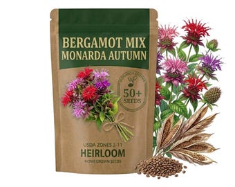 50 Mixed Color Bee Balm Seeds, Vibrant Perennial Flowering for Garden