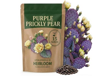 Purple Prickly Pear Seeds, Cactus Plant for Dry Garden