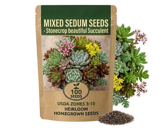 100 Mixed Sedum Seeds, Succulent Ground Cover Plant