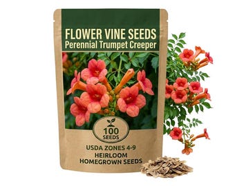 100 Trumpet Creeper Vine Seeds, Perennial Climbing Vibrant Flower