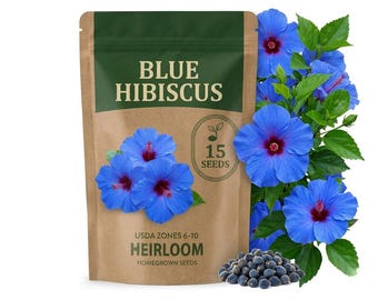 15 Blue Hibiscus Seeds, Tropical Flower Plant for Garden