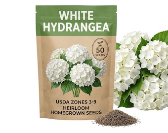 50 White Hydrangea Seeds, Flower Plant for Garden Growing