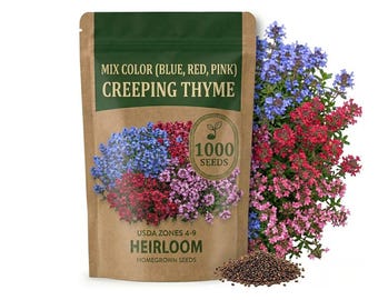 1000-4000 Mixed Creeping Thyme Seeds, Ground Cover Mix for Garden Pathways