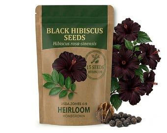 15 Hibiscus Seeds, Flower Seeds for Garden Balcony Growing