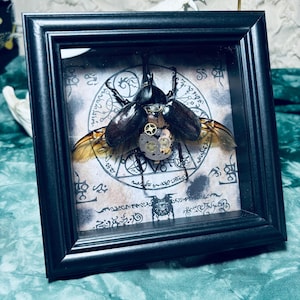 May include: A framed insect art piece featuring a large beetle with clockwork gears. The beetle is dark brown with translucent wings, set against a background of parchment-like paper with esoteric symbols. The frame is black.