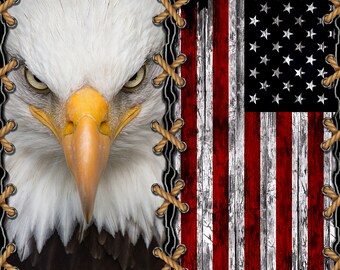 American Flag Eagle Tumbler Digital PNG File for Skinny 20 ounce Tumbler