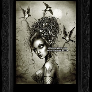 Bird Hair, Gothic, Tattoo Swallow, Art Print by Marcus Jones image 1