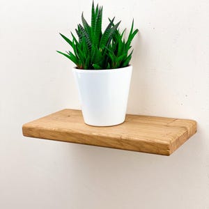 May include: A small, live succulent plant in a white ceramic pot sits on a natural wood floating shelf. The plant has dark green, pointed leaves. The shelf is rectangular and mounted on a light-colored wall.