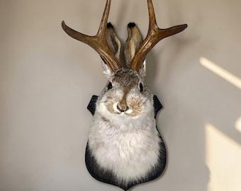 Faux Taxidermy Jackalope Wall Mount, Bunny with Antlers, Animal Head Wall Decor, Deer Style Antler Sculpture, Rustic Cabin Lodge Decor