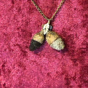 Könnte beinhalten: Eine goldfarbene Halskette mit zwei Eichelanhängern. Die Eicheln haben braune Kappen und strukturierte Körper, eine mit schwarzer Kappe und die andere mit grauer Kappe. Ein kleines, weißes Blattdetail verbindet die Eicheln mit der Kette, vor einem bordeauxroten Hintergrund.