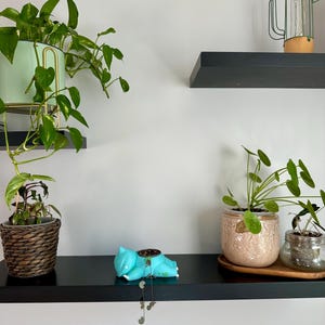 Può includere: Un vaso color azzurro a forma di creatura con una piccola pianta ricadente, posizionato su una mensola nera accanto a un portavaso in vimini, un vaso color pesca testurizzato, un barattolo di vetro e un cactus decorativo in filo metallico.