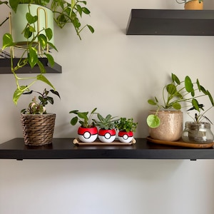 Peut inclure: Trois petits pots de fleurs sphériques conçus pour ressembler à des Poké Balls rouges et blanches, contenant chacun une petite plante verte. Ces pots sont disposés en rangée sur un plateau rectangulaire en bois, parmi d'autres plantes.